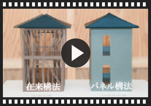 実験動画